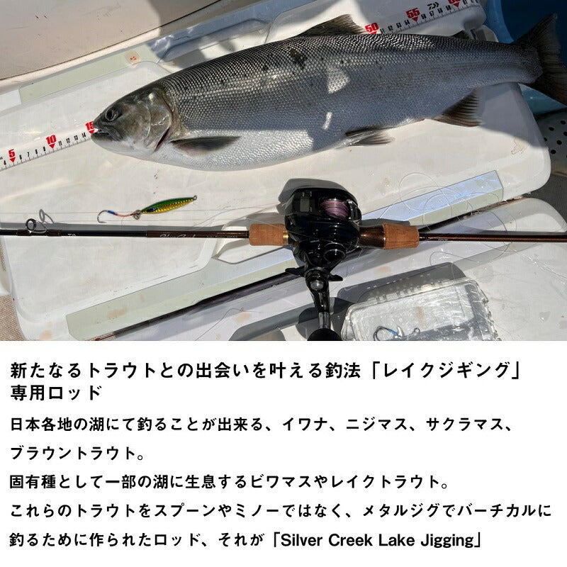 シルバークリーク レイクジギング 63LB-S
