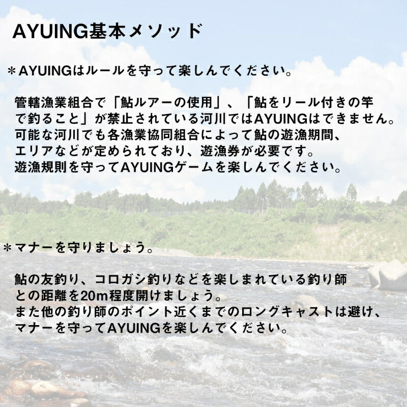 AYUINGミノー 110SF クリア縄張りアユ