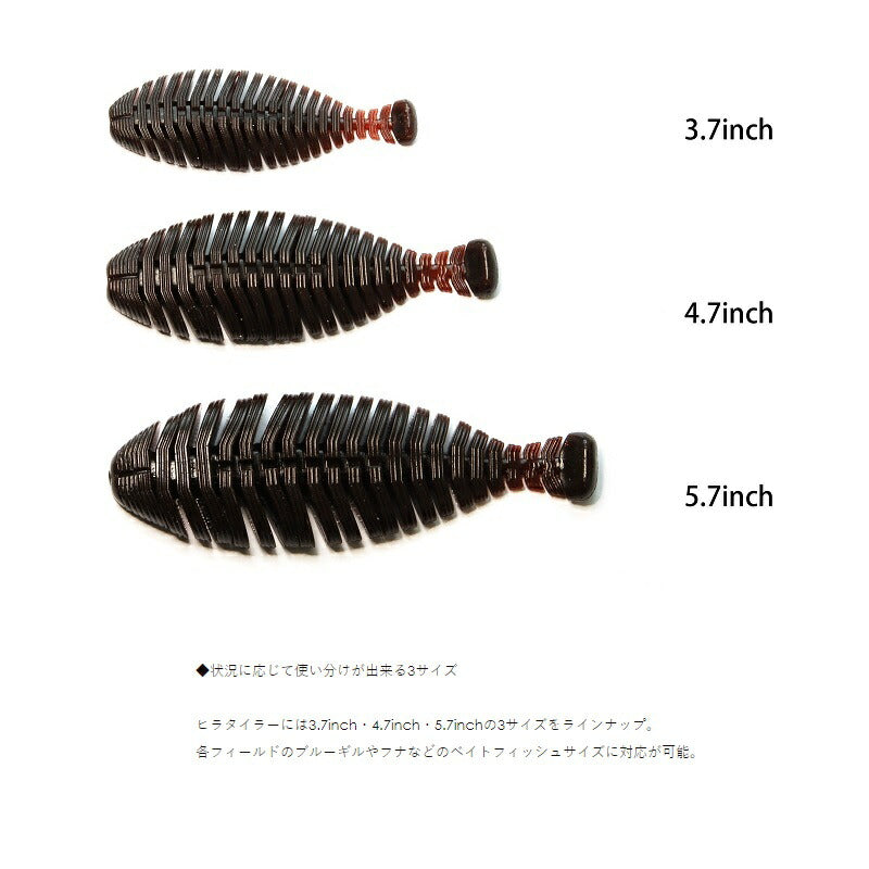 ヒラタイラー 3.7インチ