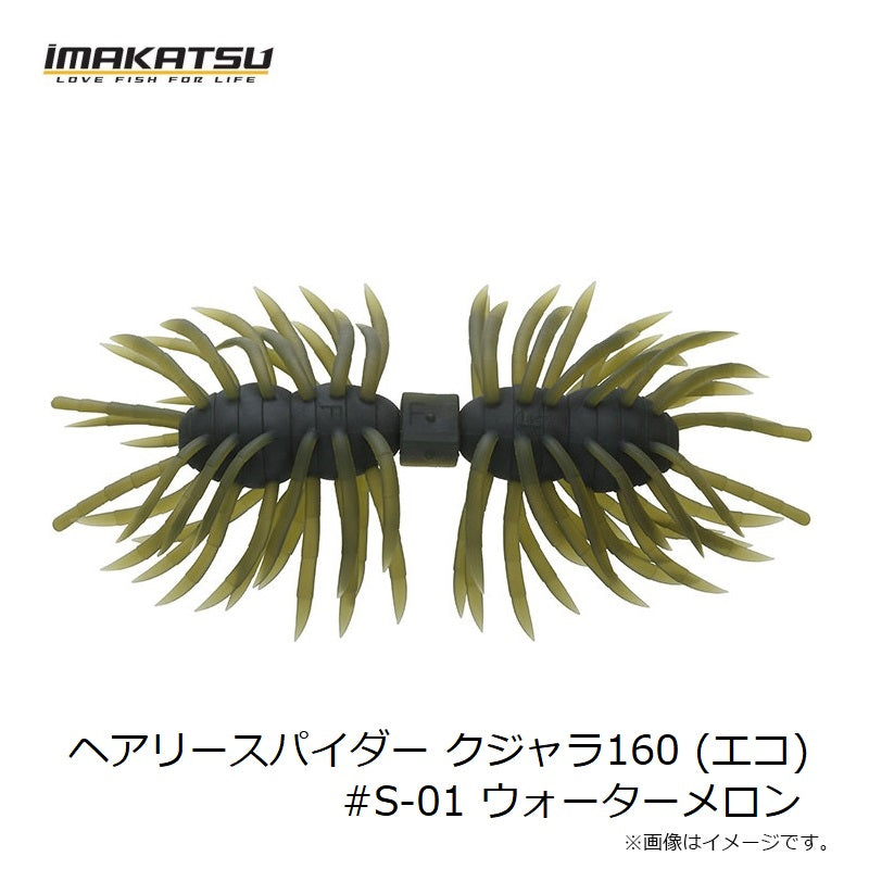 ヘアリースパイダー クジャラ160