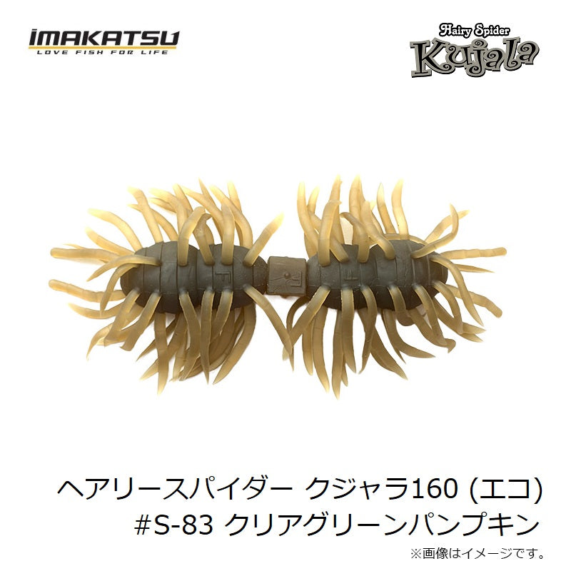ヘアリースパイダー クジャラ160
