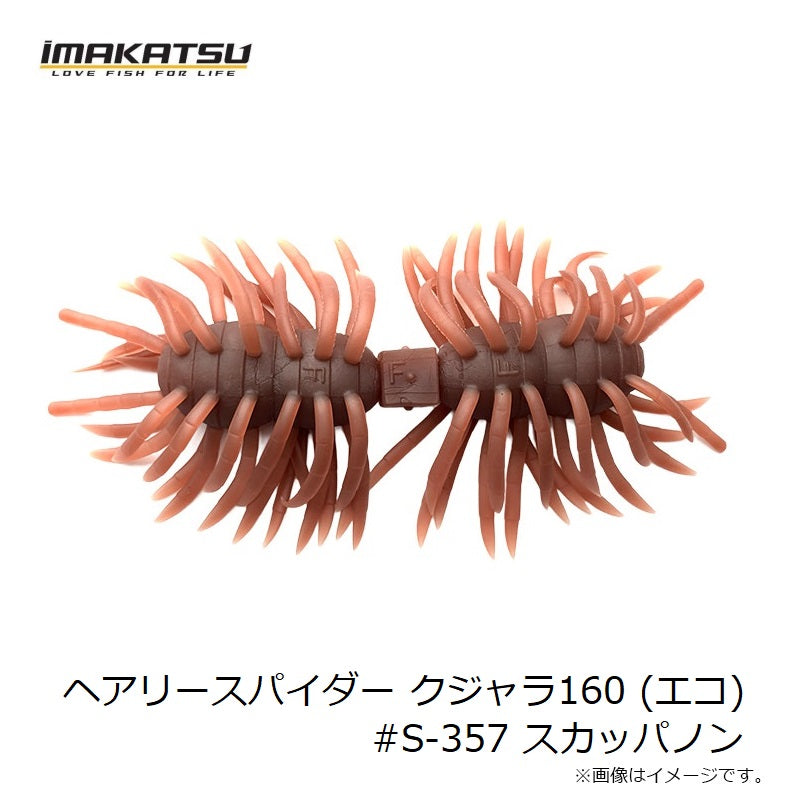 ヘアリースパイダー クジャラ160