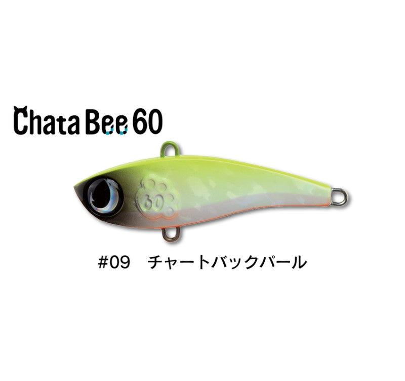 チャタビー 60