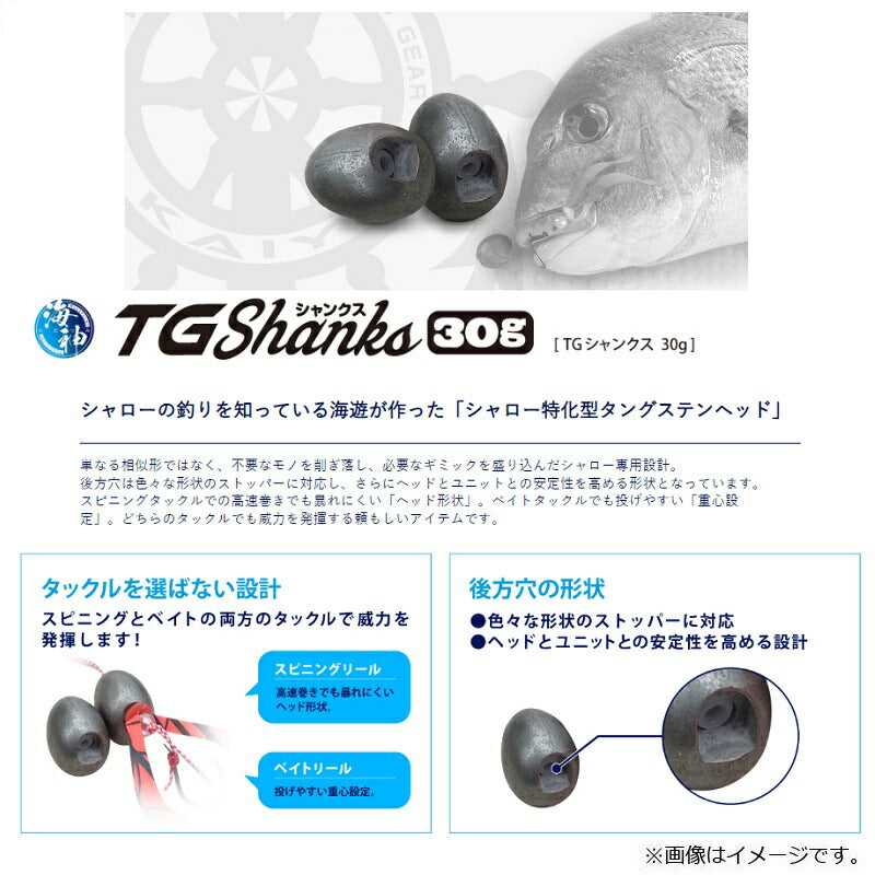 海神 TGシャンクス 30g ショウケツ(無塗装) – つり具のBunBun.com