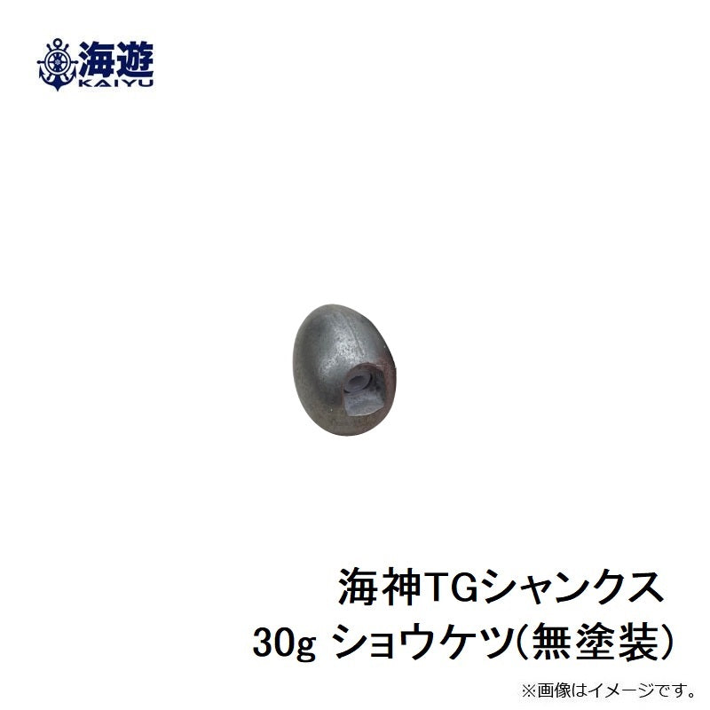 海神 TGシャンクス 30g ショウケツ(無塗装) – つり具のBunBun.com