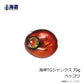 海神 TGシャンクス 70g ベッコウ