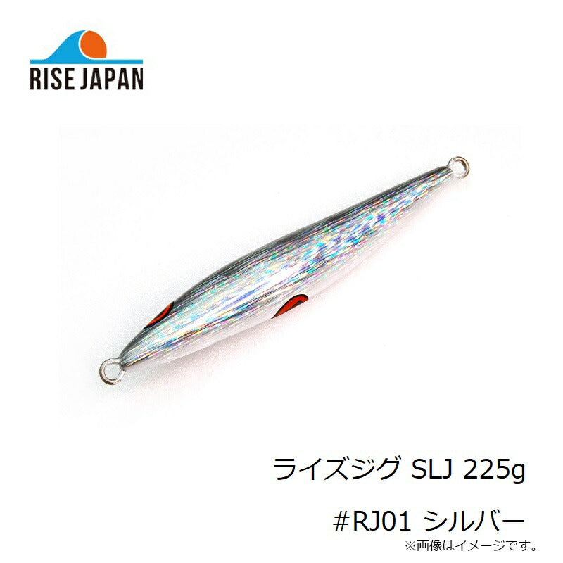 ライズジグ SLJ 225g – つり具のBunBun.com
