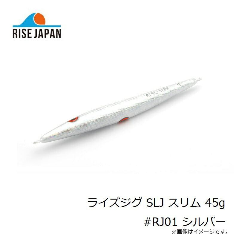 ライズジグ SLJ スリム 45g