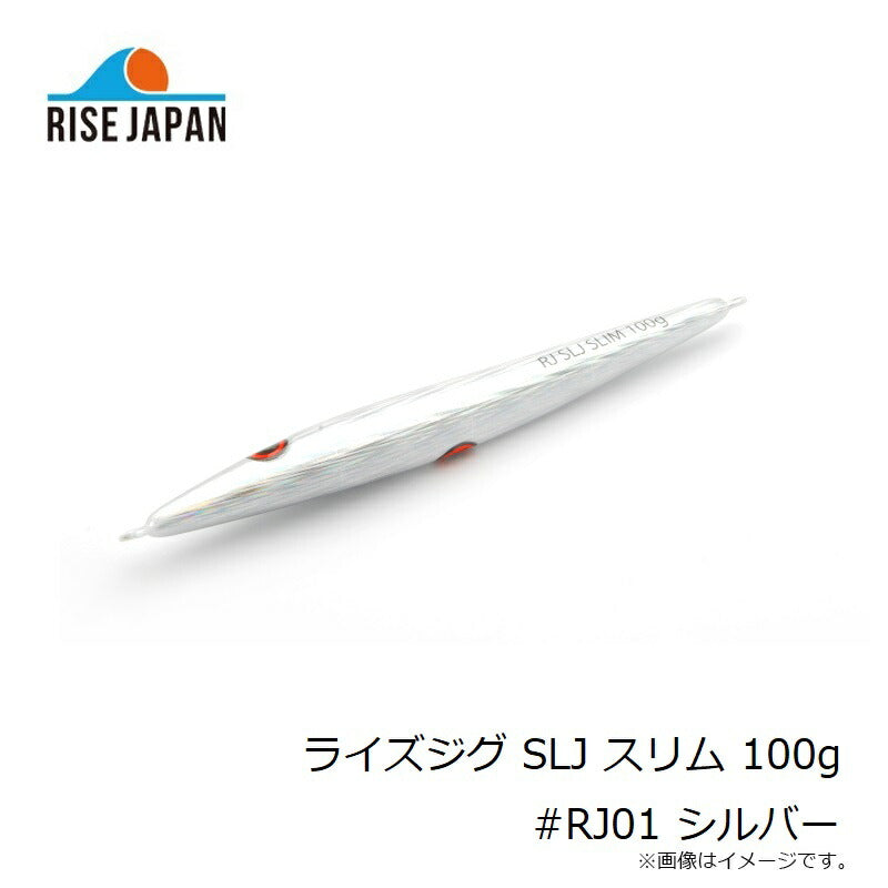 ライズジグ SLJ スリム 100g