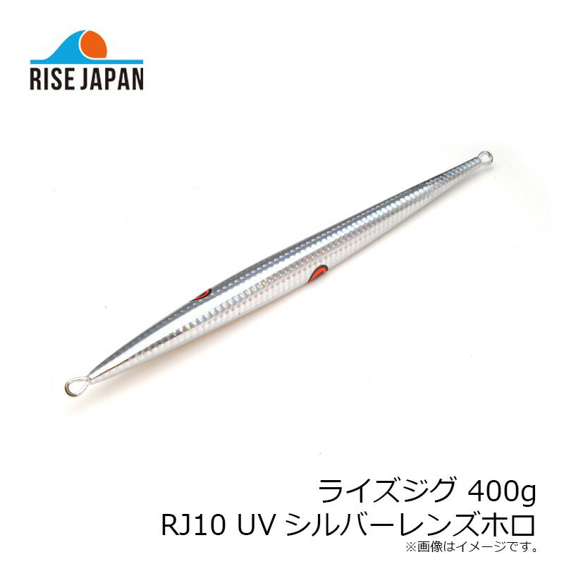 ライズジグ 400g