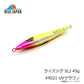 ライズジグ SLJ 45g