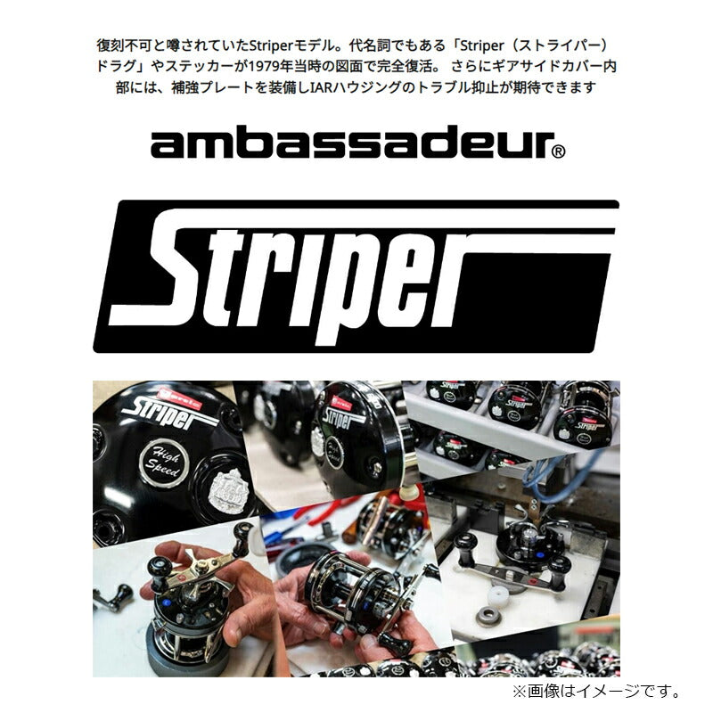 アンバサダー AMBASSADEUR 5501 Striper Black