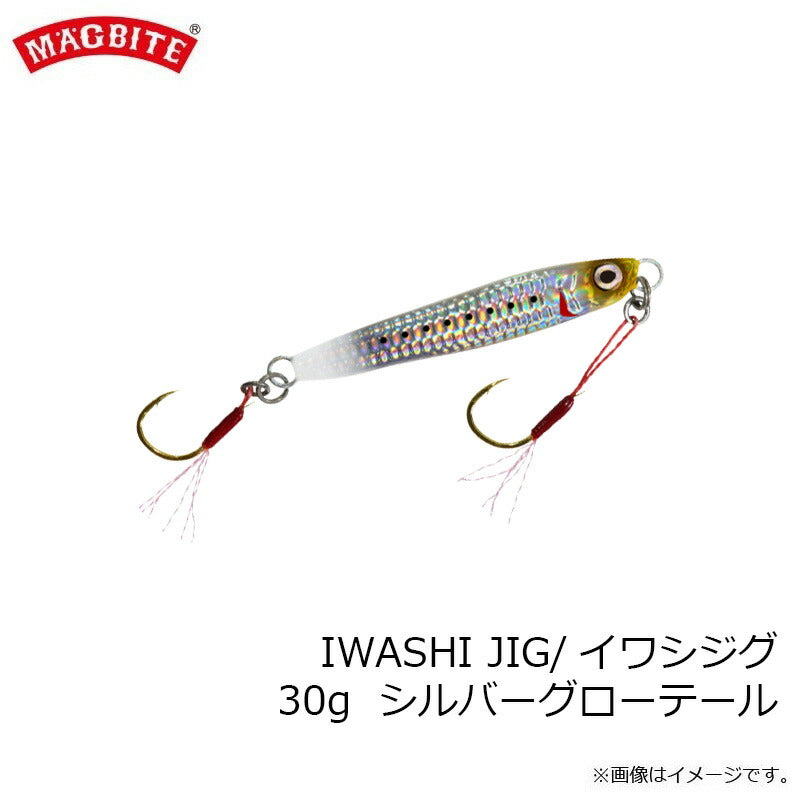 MBJ05 イワシジグ 30g