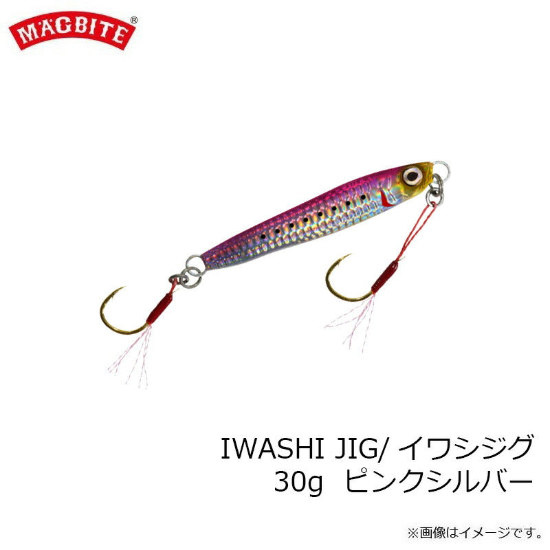 MBJ05 イワシジグ 30g