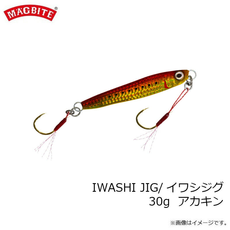MBJ05 イワシジグ 30g