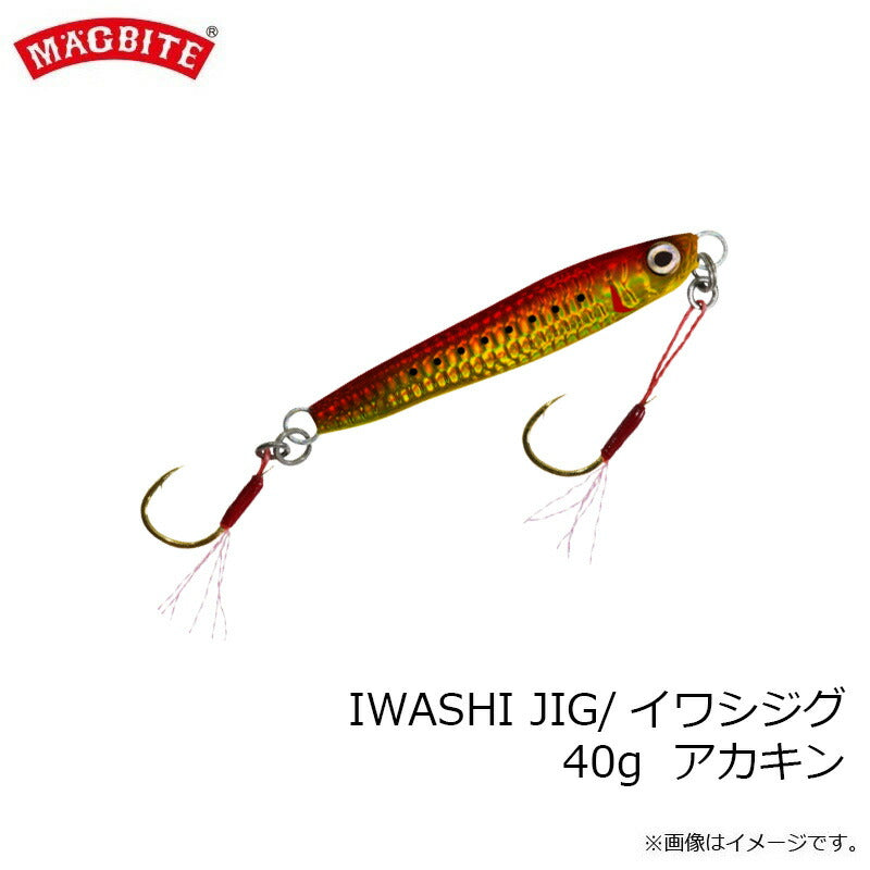 MBJ05 イワシジグ 40g