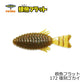 根魚フラット SW