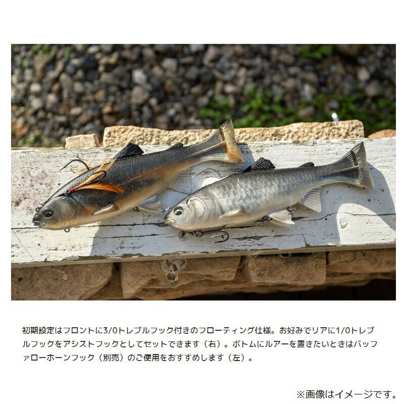 レイジースイマー9