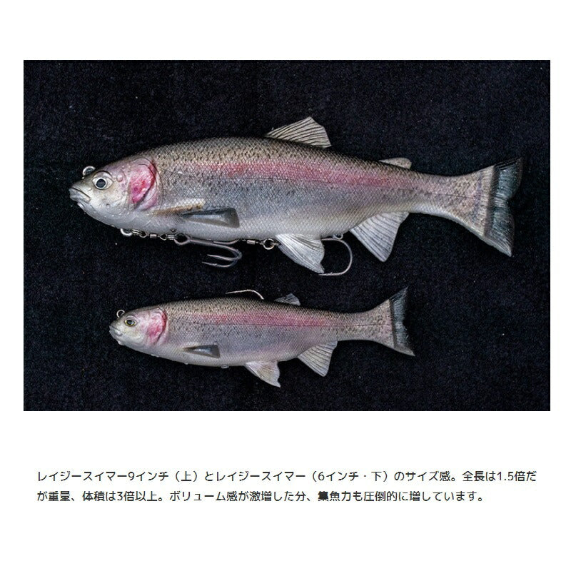レイジースイマー9