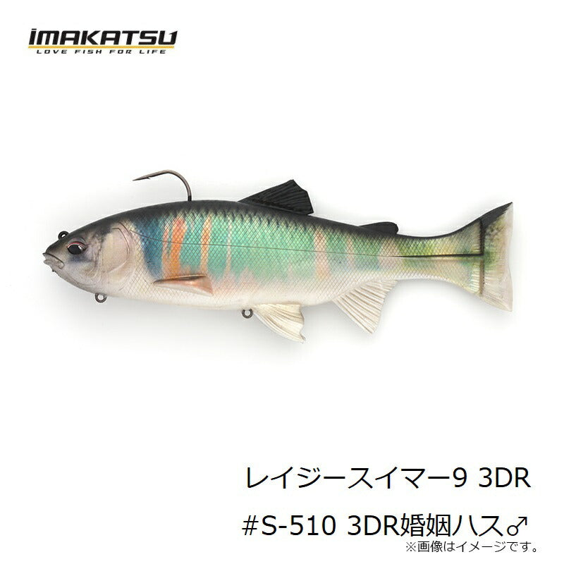 レイジースイマー9