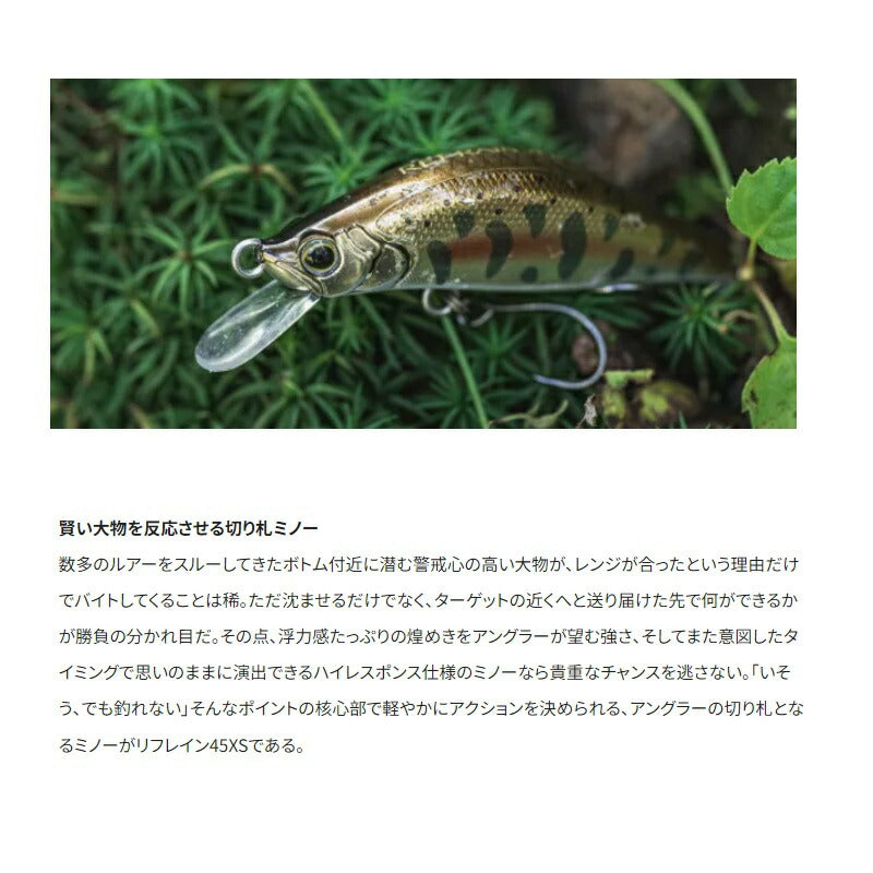 ZN-245X カーディフ リフレイン 45XS ボトムスペック