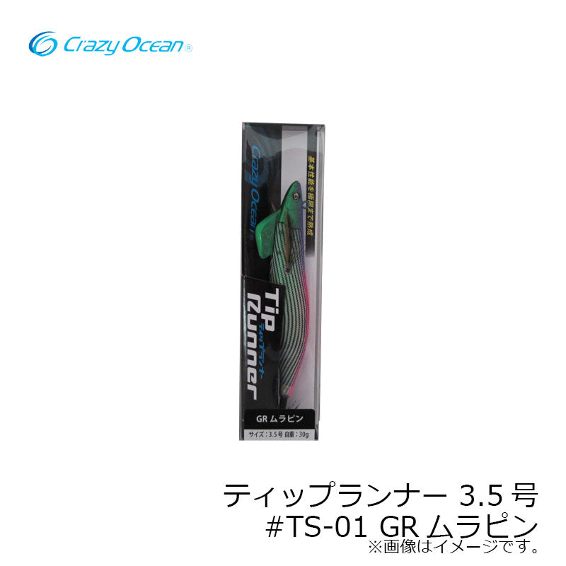 ティップランナー 3.5号 #TS-01 GRムラピン – つり具のBunBun.com