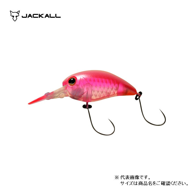 パニクラDR