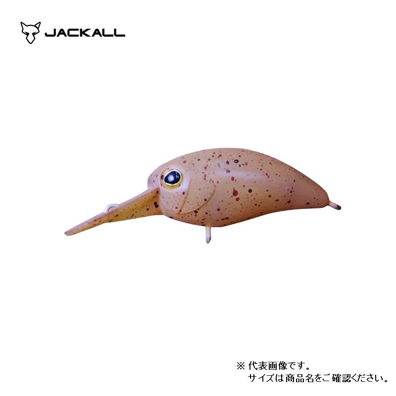 パニクラDR