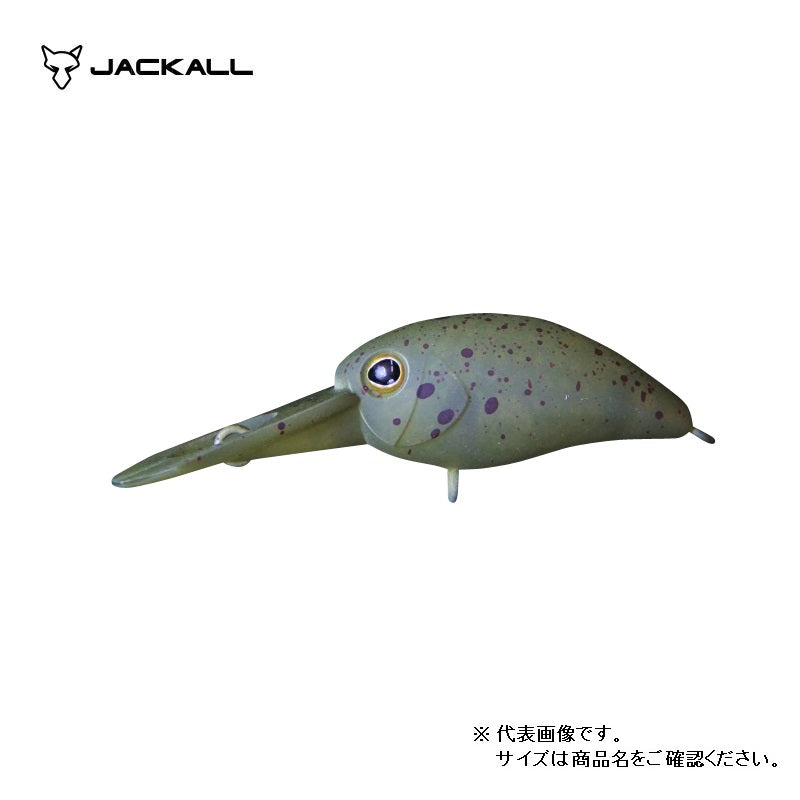 パニクラDR