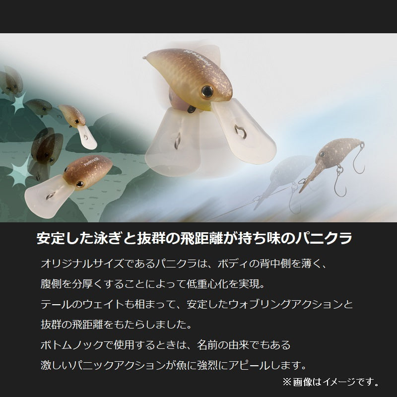 パニクラDR