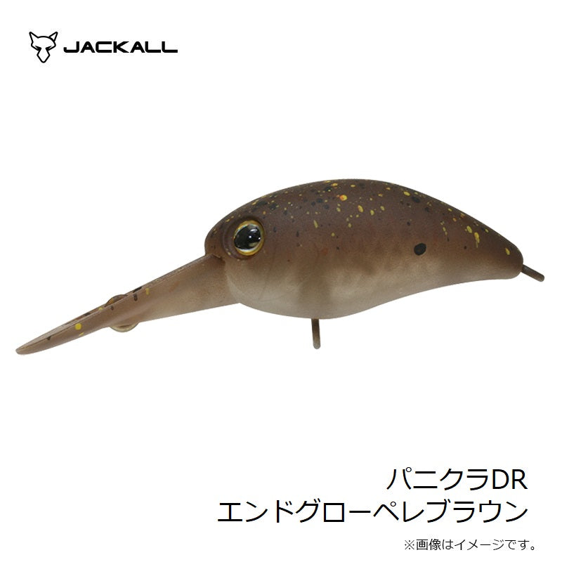 パニクラDR