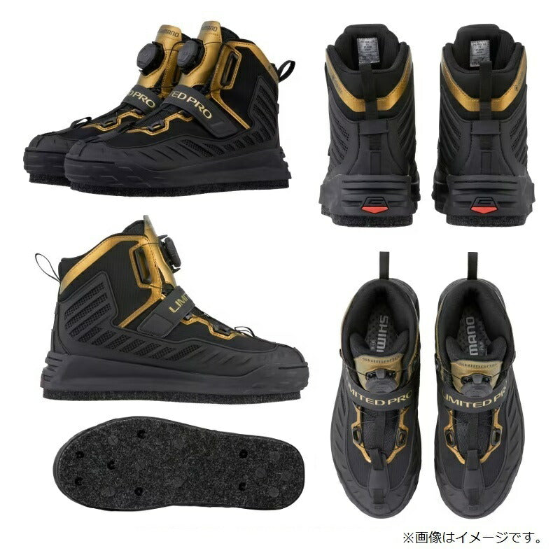 FS-140X リミテッドプロ ゴアテックスシューズ