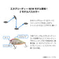 エヌグリーディー Zモデル バスカラー