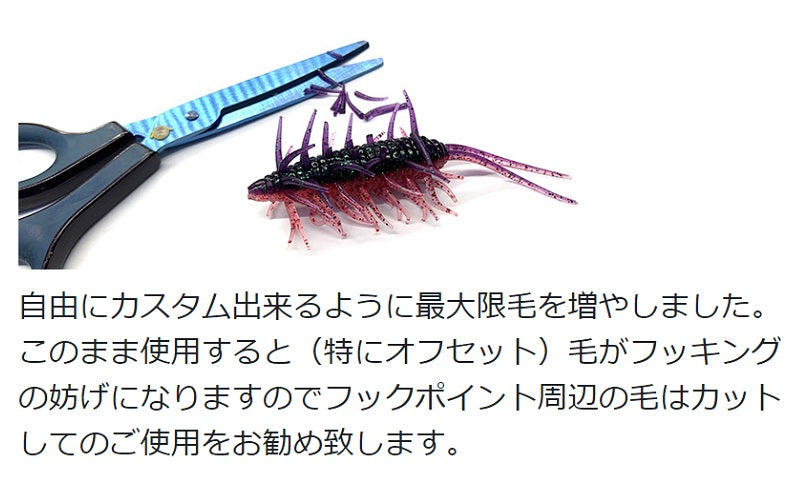コイケシュリンプビッグ