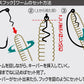 ピアスフックTC
