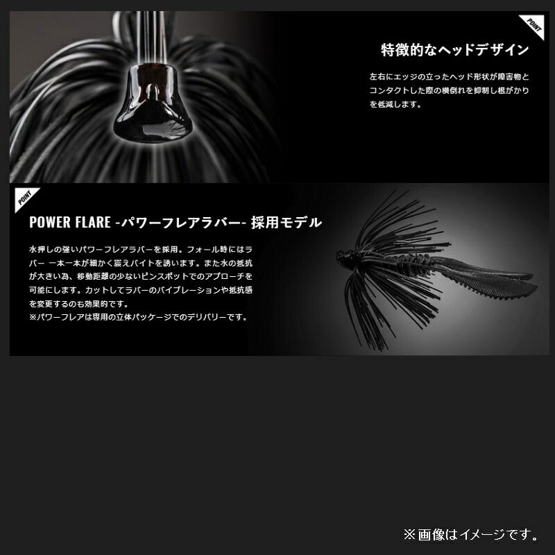 アナーキー 11g