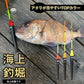 海上釣堀ウキ