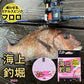 海上釣堀フロロ ステルスピンク 60m