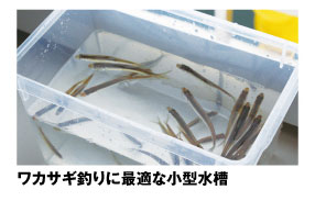 PX835 ワカサギ水槽 フタ付