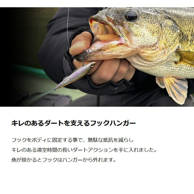 ライブダーター