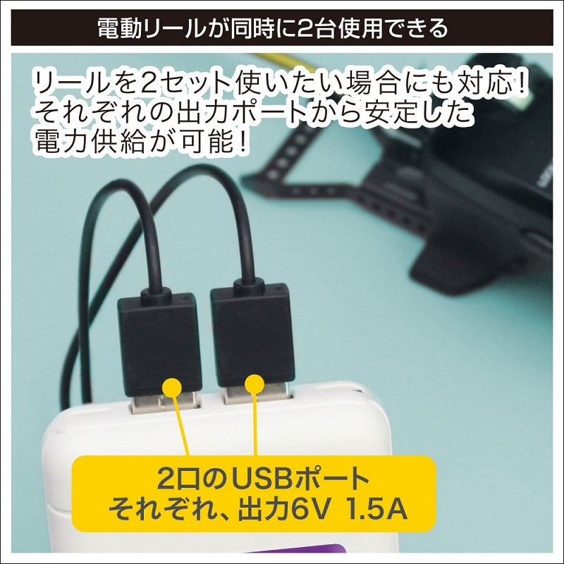 ワカサギ電動リール用バッテリー
