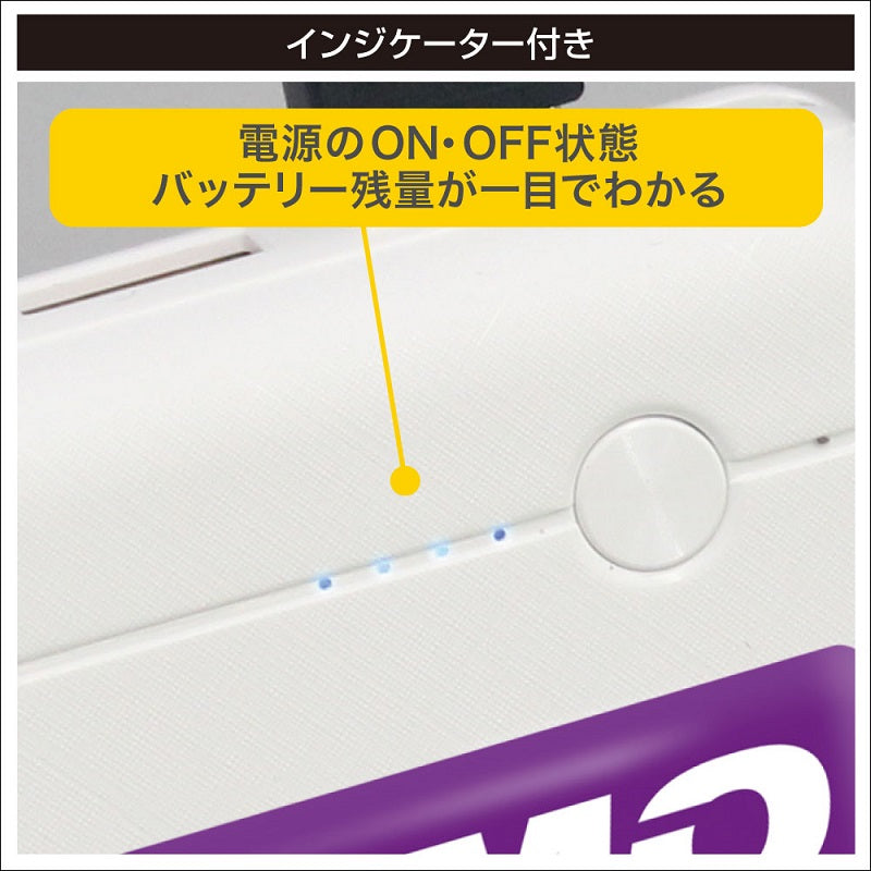 ワカサギ電動リール用バッテリー