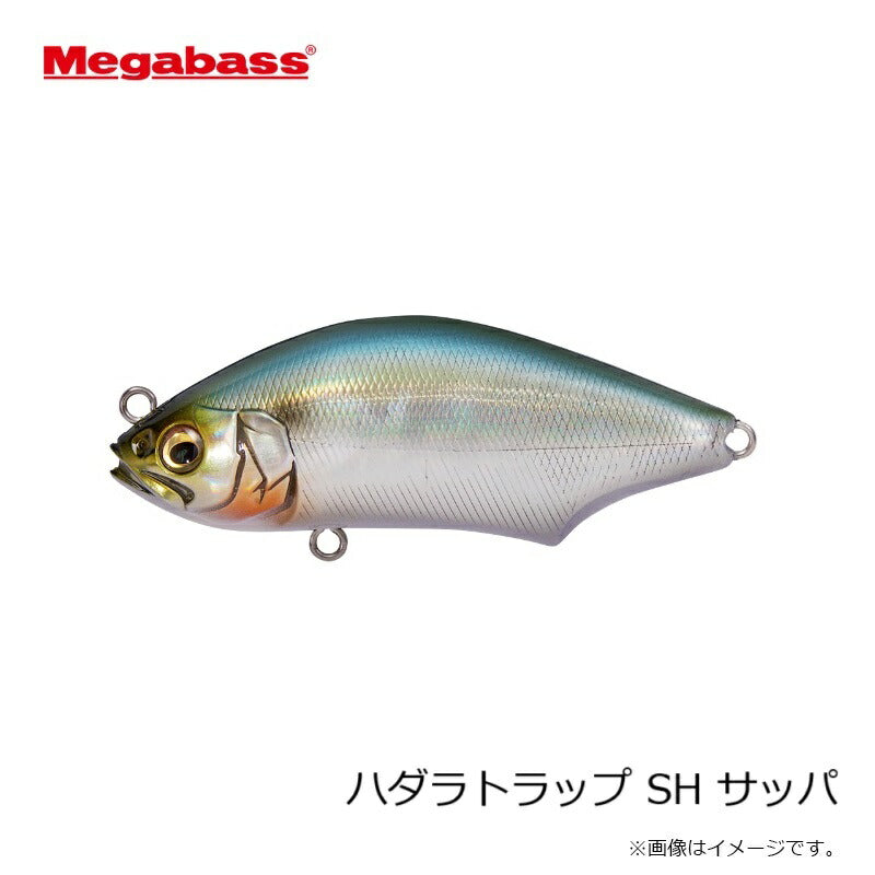 ハダラトラップ