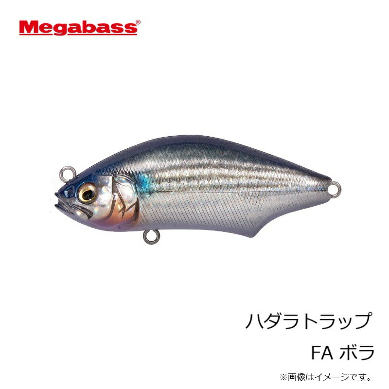 ハダラトラップ