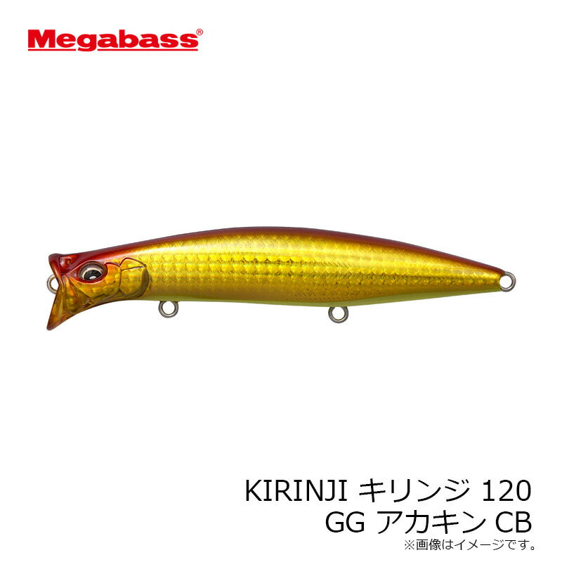 キリンジ120