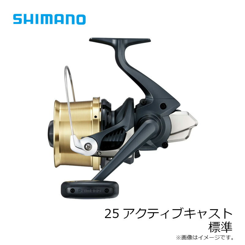 25 アクティブキャスト 標準