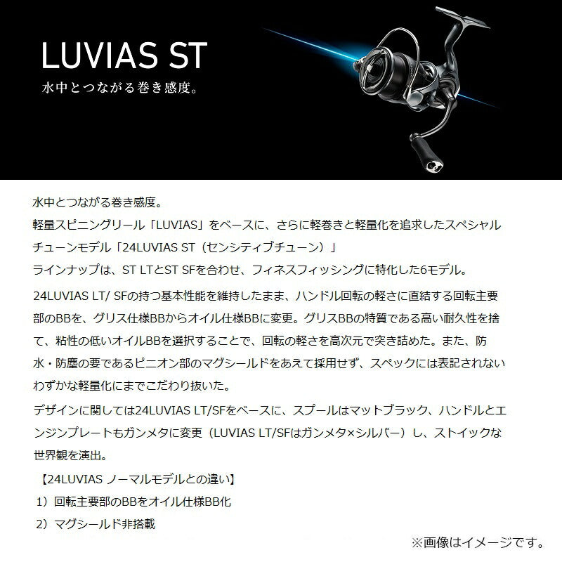 つりきち　ルビアス　フリームスセット ランキング上位のプレゼント (リール) LT3000S-CXH ルビアス
