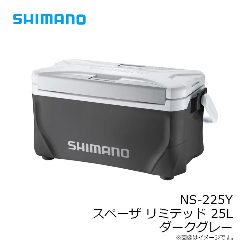 NS-225Y スペーザ リミテッド 25L ダークグレー