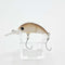 カフェシャレッドグロー 1091カラー