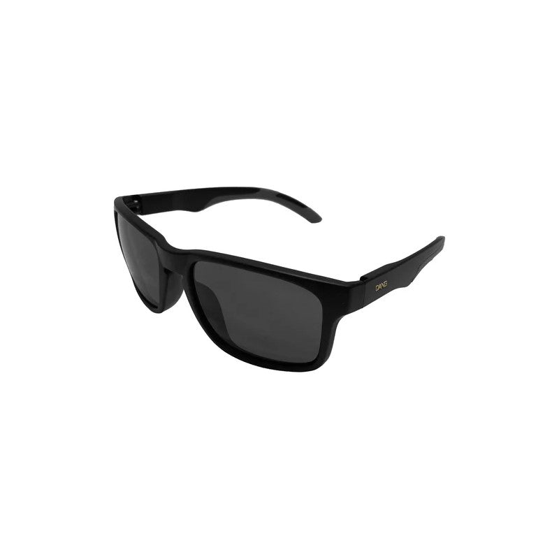 ALL TERRAIN JP Black Matte x Black Smoke Polarized (vidg00500)